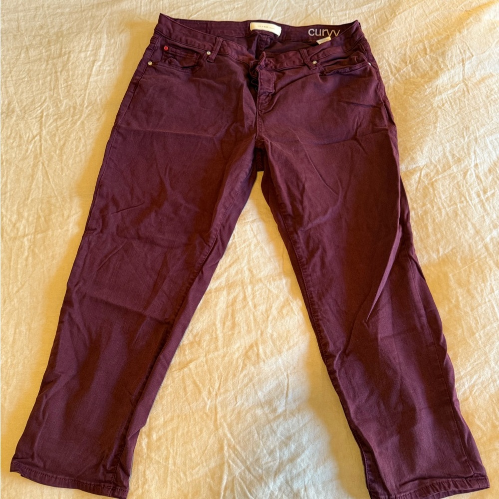 SLINK size 18 burgundy jeans
